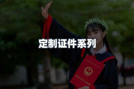 定制证件系列